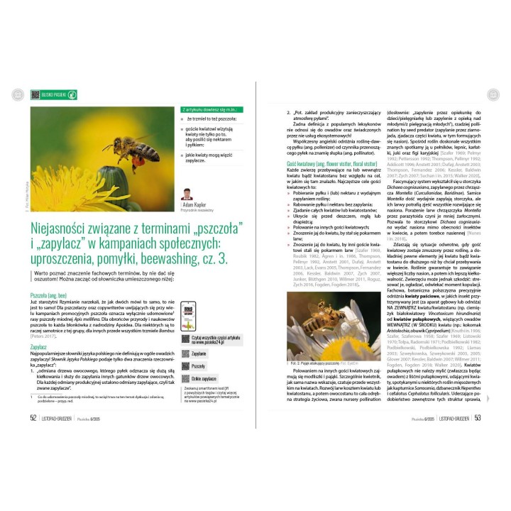 Pasieka nr 6/2025 (PAS134)