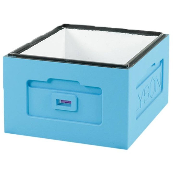 Korpus Wielkopolski 12 ramkowy (niebieski) - W1056