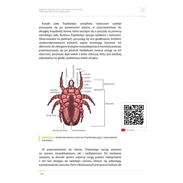 Książka "Tropilaelaps – u bram Twojej pasieki". Nowe zagrożenie dla pszczół - K280