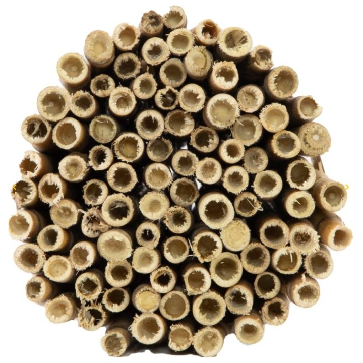 Rurki trzcinowe do hodowli murarek, dł. 20 cm