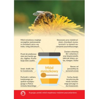 Karta informacyjna A4 "MIÓD MNISZKOWY" - KI2