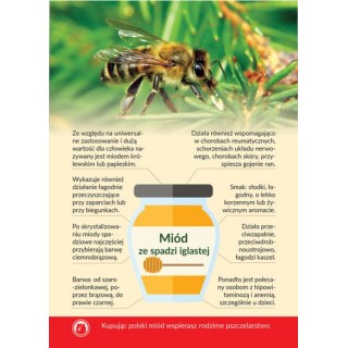 Karta informacyjna A4 "MIÓD ZE SPADZI IGLASTEJ" - KI4