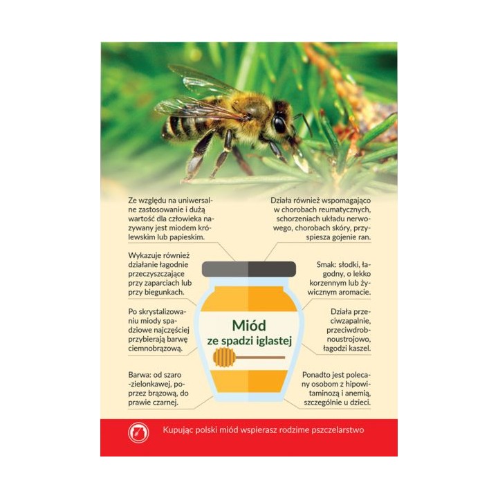 Karta informacyjna A4 "MIÓD ZE SPADZI IGLASTEJ" - KI4