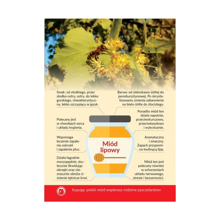 Karta informacyjna A4 "MIÓD LIPOWY" - KI5