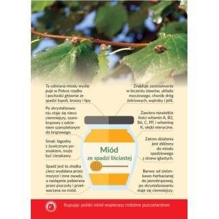 Karta informacyjna A4 "MIÓD ZE SPADZI LIŚCIASTEJ" - KI8