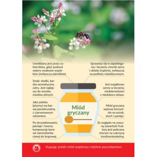Karta informacyjna A4 "MIÓD GRYCZANY"- KI10