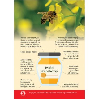 Karta informacyjna A4 "MIÓD RZEPAKOWY" - KI11