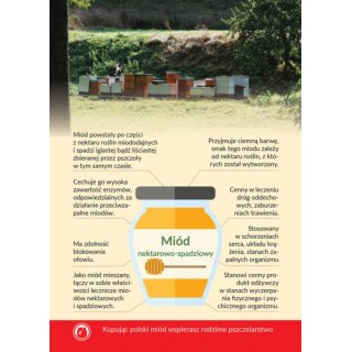 Karta informacyjna A4 "MIÓD NEKTAROWO-SPADZIOWY" - KI9