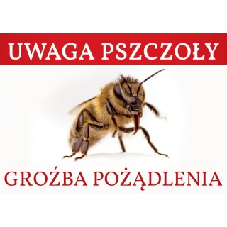 Duża tablica ostrzegawcza - wzór F334