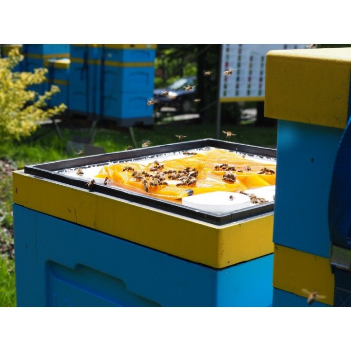 Apikand z pyłkiem - ciasto 1 kg dla pszczół - wzór 3244