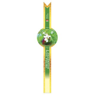 Paczka banderol z zielonych płuc polski (100 szt) - wzór BA112