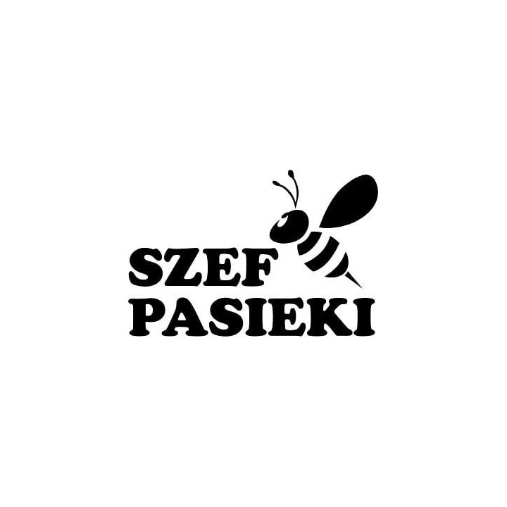 Naklejka samochodowa - wzór NS-016C