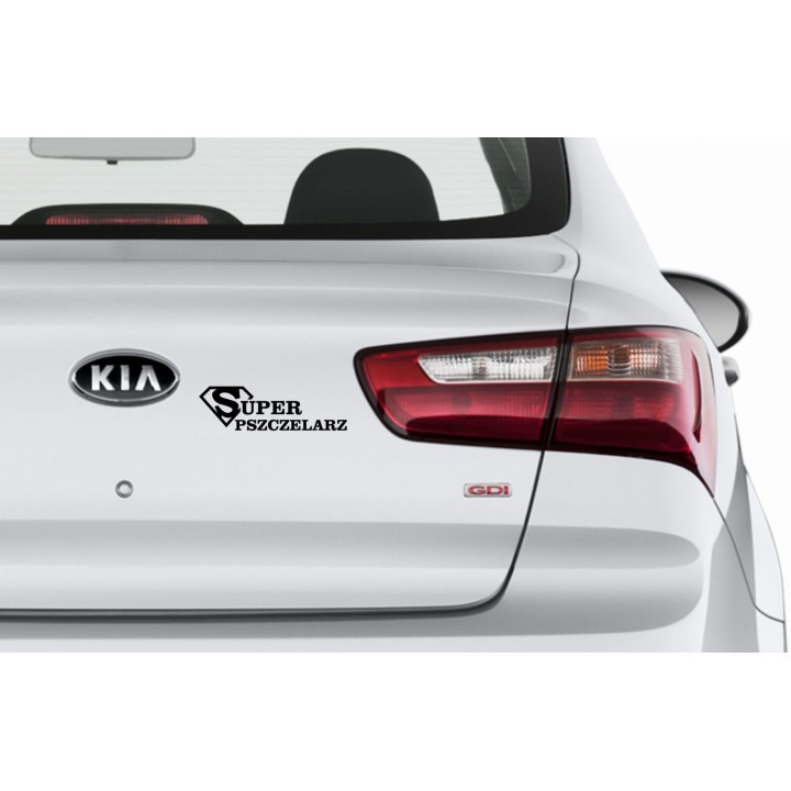 Naklejka samochodowa - wzór NS-017C