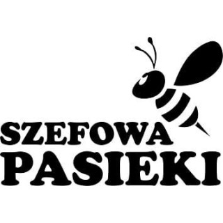 Naklejka samochodowa - wzór NS-018C