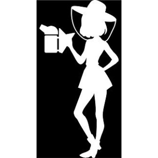 Naklejka samochodowa - wzór NS-009B