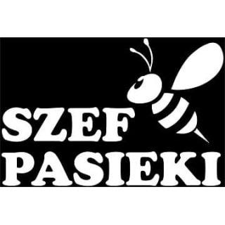 Naklejka samochodowa - wzór NS-016B