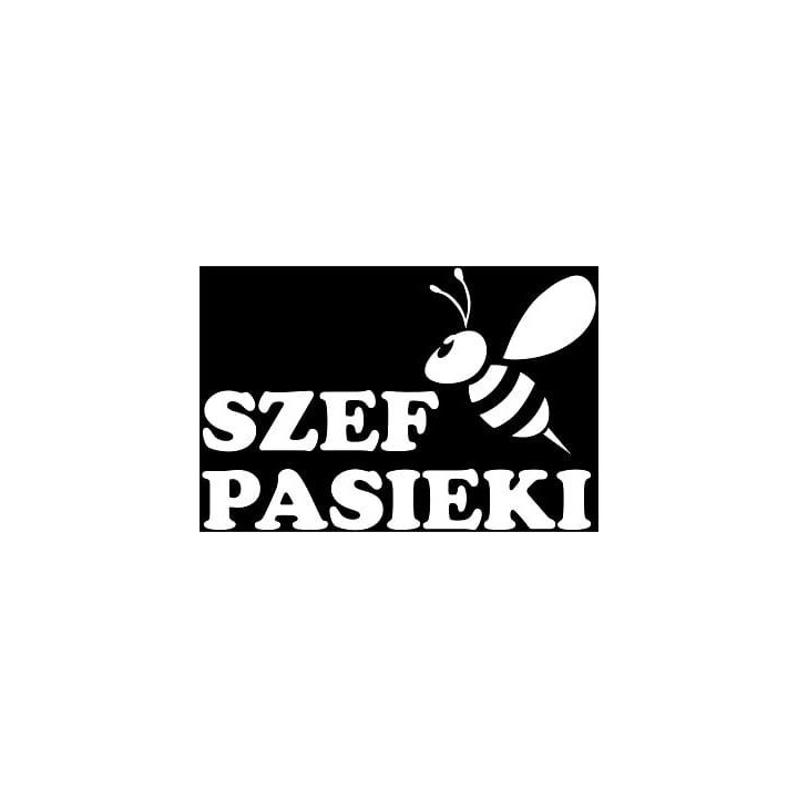 Naklejka samochodowa - wzór NS-016B