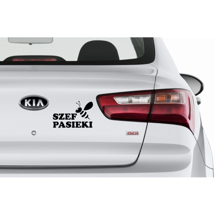 Naklejka samochodowa - wzór NS-016B