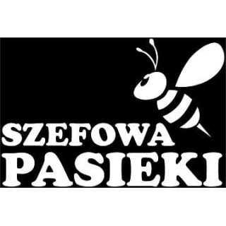 Naklejka samochodowa - wzór NS-018B