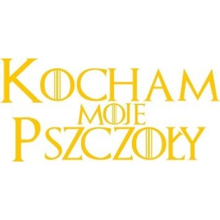 Naklejka samochodowa - wzór NS-007Y