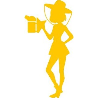 Naklejka samochodowa - wzór NS-009Y