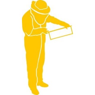 Naklejka samochodowa - wzór NS-014Y