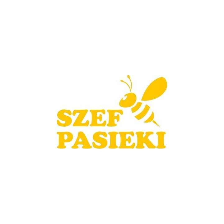 Naklejka samochodowa - wzór NS-016Y