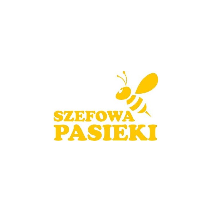 Naklejka samochodowa - wzór NS-018Y