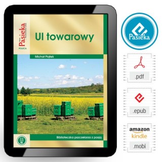 EBOOK Książka „Ul towarowy” (Michał Piątek)