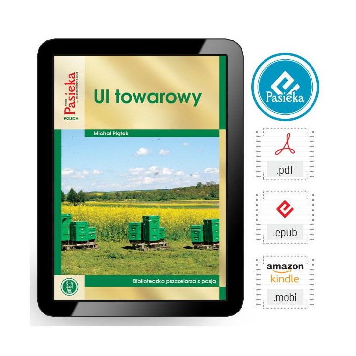 EBOOK Książka „Ul towarowy” (Michał Piątek)