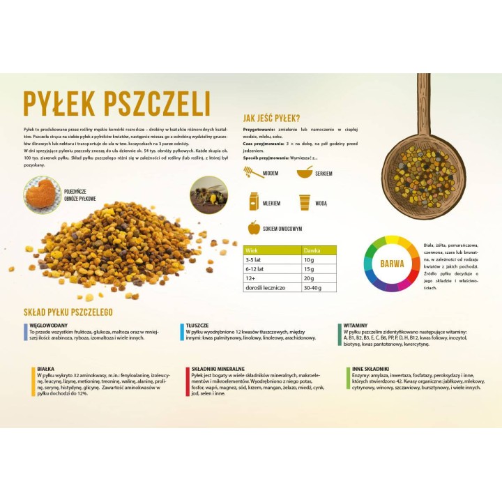 Średnia tablica edukacyjna PYŁEK PSZCZELI - wzór F251