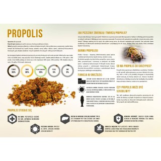 Średnia tablica edukacyjna PROPOLIS - wzór F252