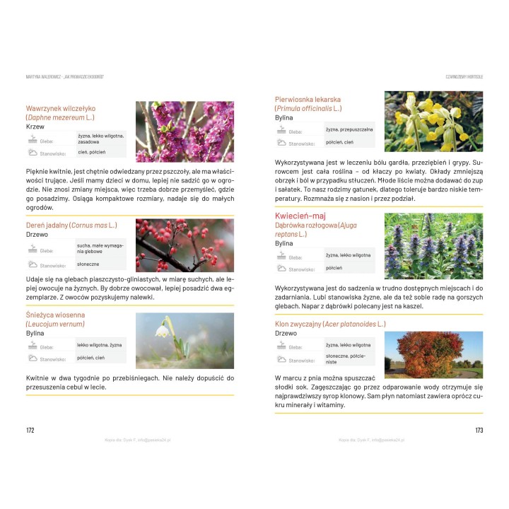 e-book | Martyna Walerowicz „Jak prowadzić ekoogród” (EBOOKK2000)