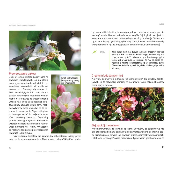 e-book | Martyna Walerowicz „Jak prowadzić ekoogród” (EBOOKK2000)