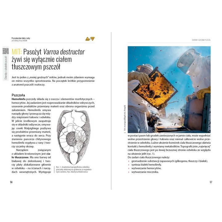e-book | pod redakcją Teresy Kobiałki „Pszczelarskie fakty i mity” (EBOOKK2500)