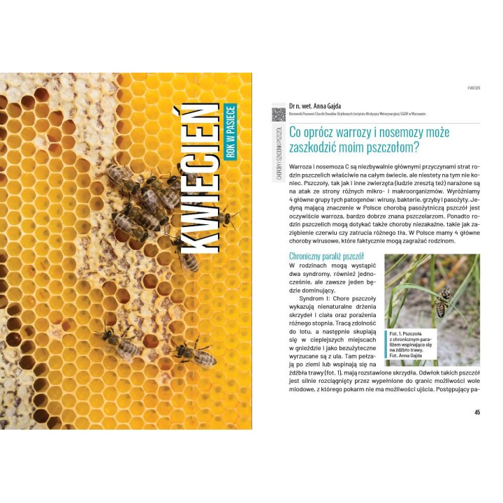 Książka „Rok w pasiece" wyd. II (praca zbiorowa pod redakcją Teresy Kobiałki) -  K2300