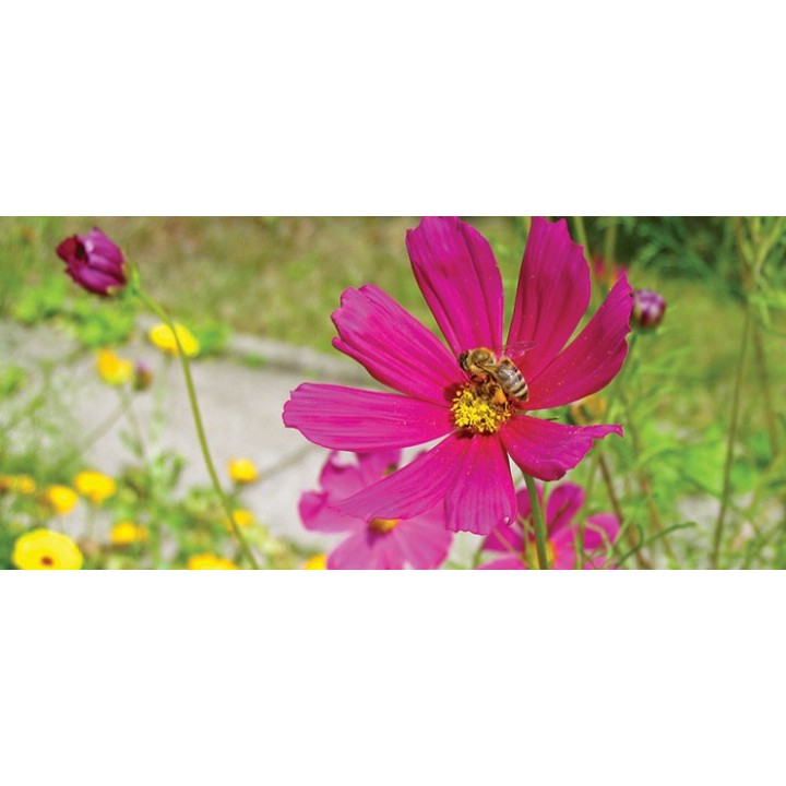 Kubek z motywem pszczelarskim  - KUB5