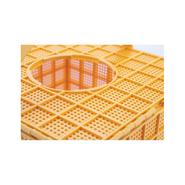 MULTIBOX DO TRANSPORTU PSZCZÓŁ Z POIDEŁKIEM, PLASTIKOWY - H7445