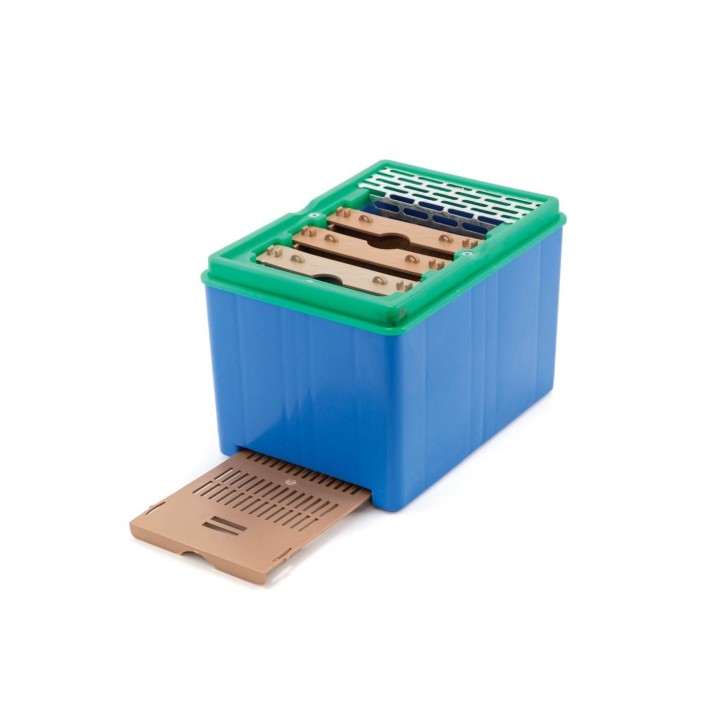 ULIK WESELNY "HARLEKIN", PLASTIKOWY - H4993