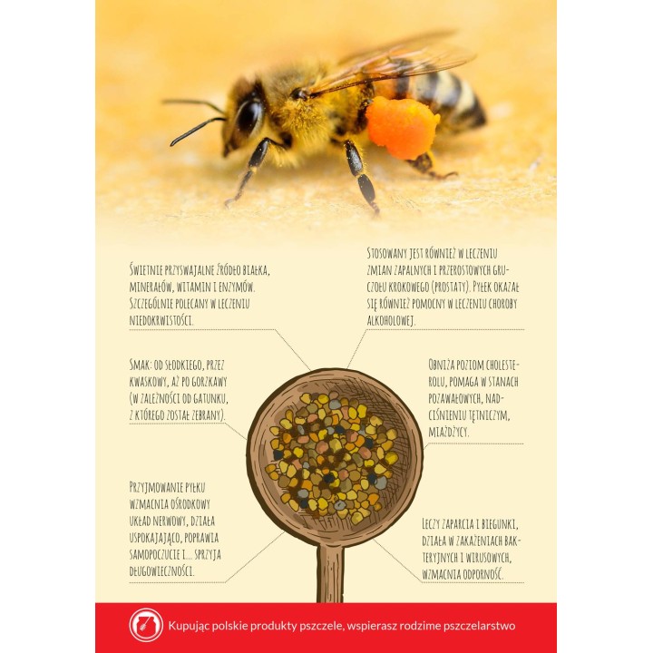 Karta informacyjna A4 "PYŁEK PSZCZELI" - KI14