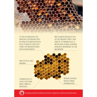 Karta informacyjna A4 "Pierzga" - KI15