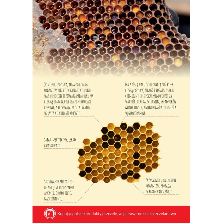 Karta informacyjna A4 "Pierzga" - KI15