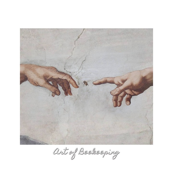 Koszulka bawełniana z nadrukiem Stworzenie Adama | Art of Beekeeping (czarna) -  KA49