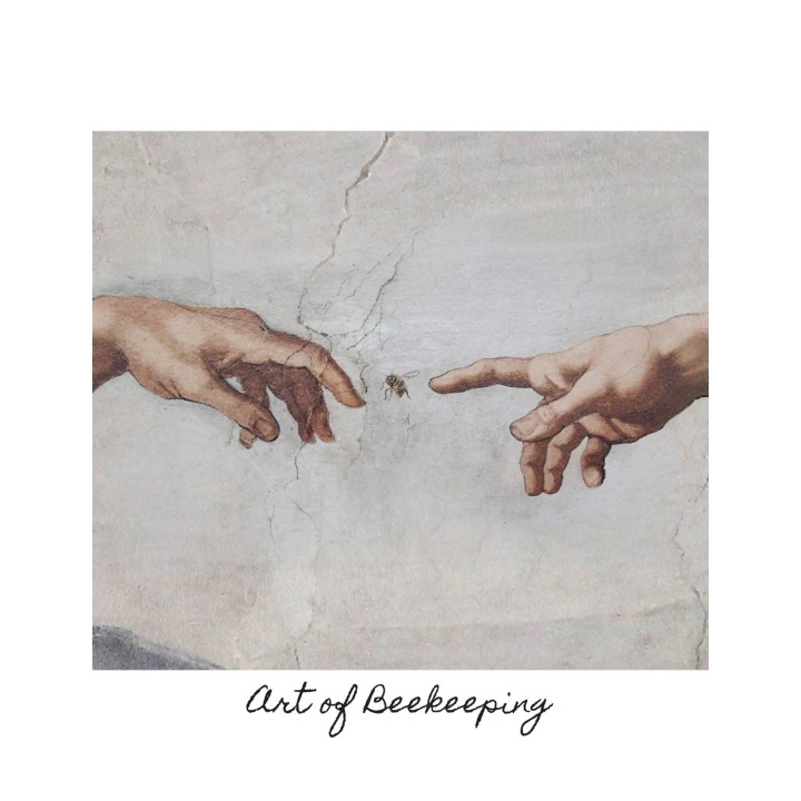 Koszulka bawełniana z nadrukiem Stworzenie Adama | Art of Beekeeping (biała) - KA52