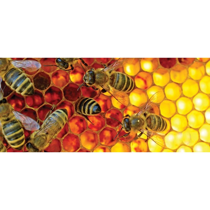 Kubek z motywem pszczelarskim "PSZCZOŁY NA PLASTRZE MIODU" - KUB8