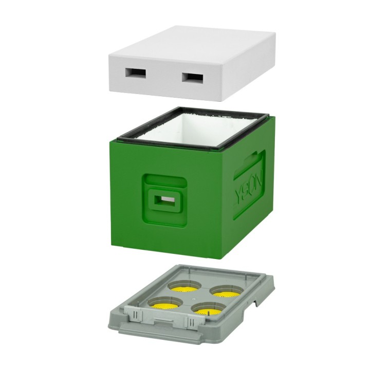 Ul 6-ramkowy do wychowu pakietów Wielkopolski, malowany z wręgą - zielony (seledynowy) - W1166_Z