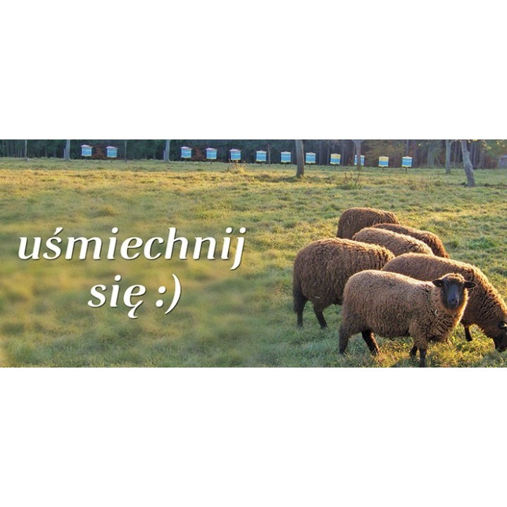 Kubek z motywem pszczelarskim "UŚMIECHNIJ SIĘ"  - KUB11