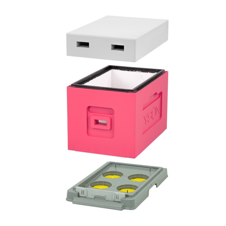 Ul 6-ramkowy z wręgami Wielkopolski malowany -  różowo-szary  (daszek, korpus, dennica plastikowa bez korków) - NOWOŚĆ - W1166_R