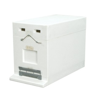 Ul 6-ramkowy  Wielkopolski (niemalowany), z zapięciami - W1130A