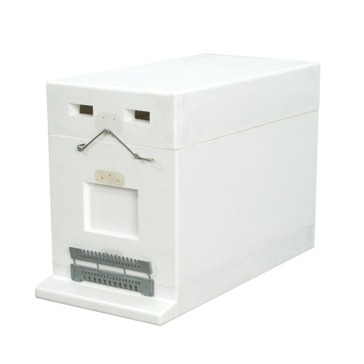 Ul 6-ramkowy  Wielkopolski (niemalowany), z zapięciami - W1130A